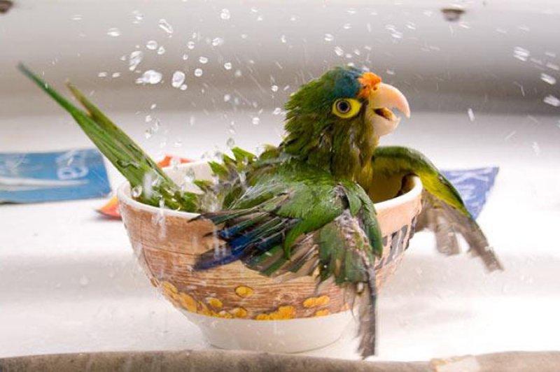 Dünyanın farklı yerlerinden fotoğraflar