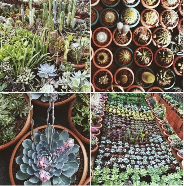 Ünlülerden 14 Temmuz Instagram paylaşımları 