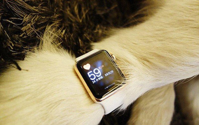 Instagram'ın son fenomenleri: Çin'in zengin çocukları