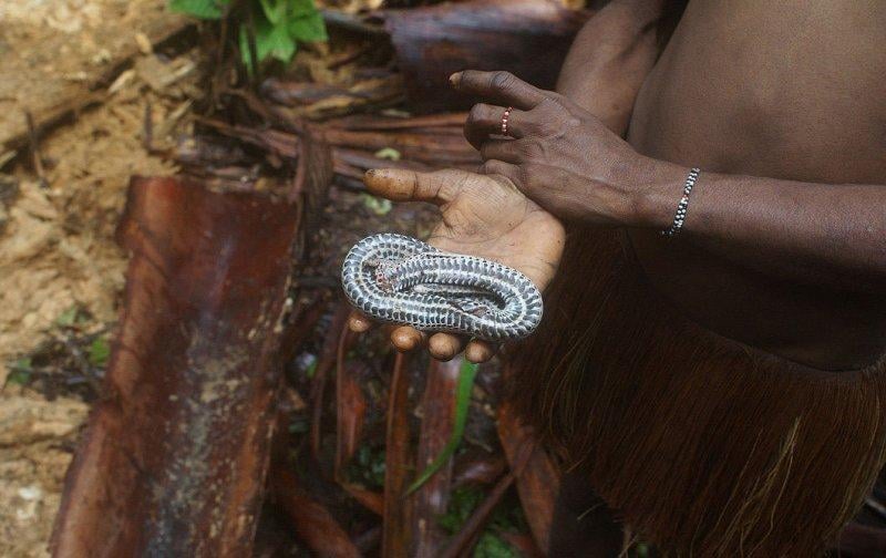 Dünyanın en son yaşayan yamyam kabilesi Korowailer