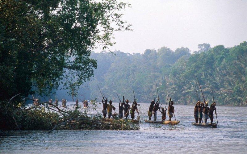 Dünyanın en son yaşayan yamyam kabilesi Korowailer