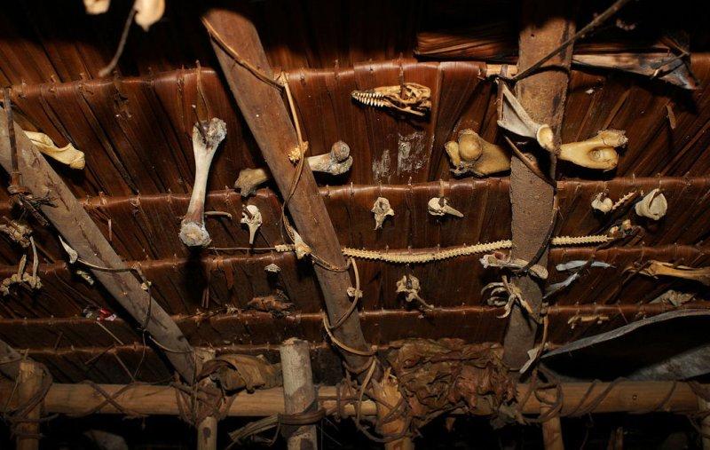 Dünyanın en son yaşayan yamyam kabilesi Korowailer