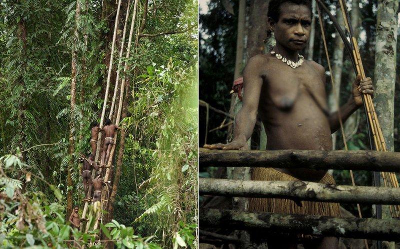 Dünyanın en son yaşayan yamyam kabilesi Korowailer