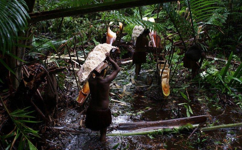 Dünyanın en son yaşayan yamyam kabilesi Korowailer