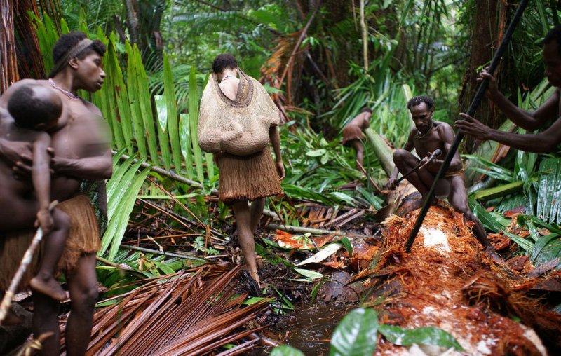 Dünyanın en son yaşayan yamyam kabilesi Korowailer