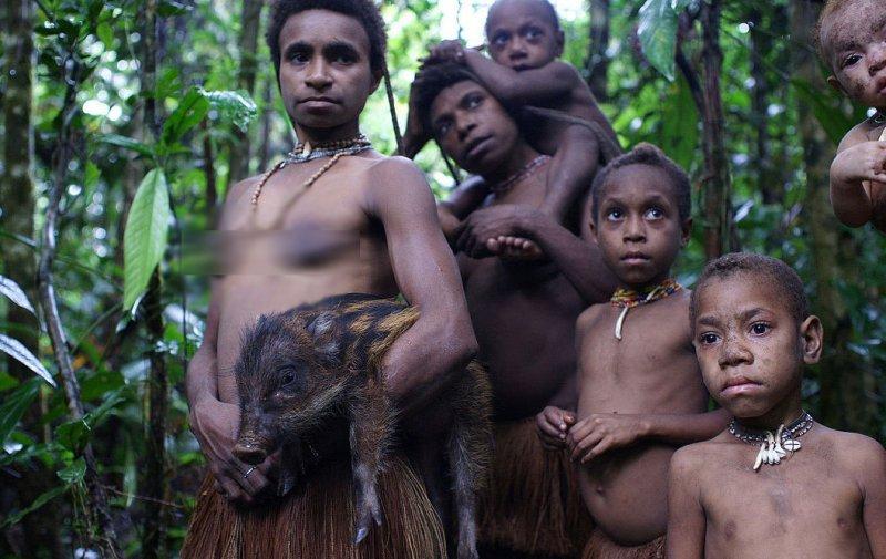 Dünyanın en son yaşayan yamyam kabilesi Korowailer