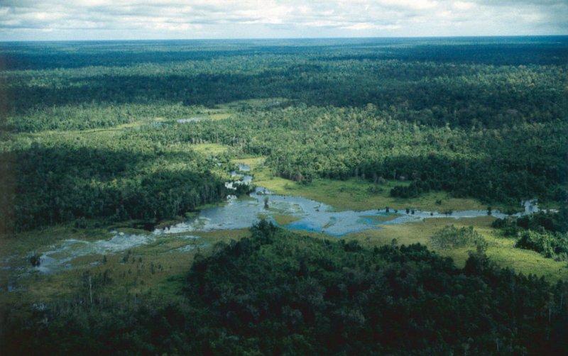 Dünyanın en son yaşayan yamyam kabilesi Korowailer