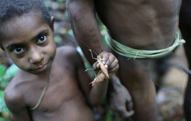 Dünyanın en son yaşayan yamyam kabilesi Korowailer