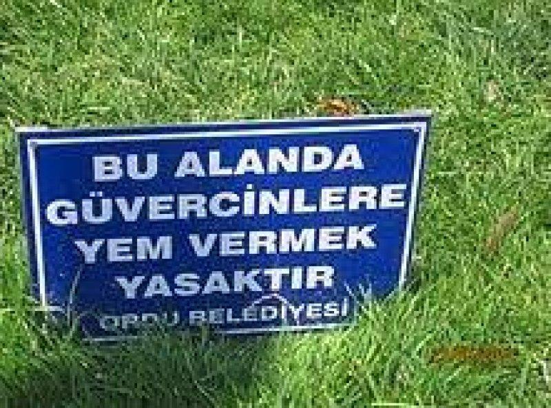 Akıllara zarar yasak tabelalar