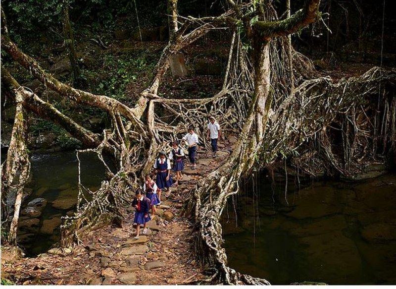 Dünyanın en zorlu okul yolları