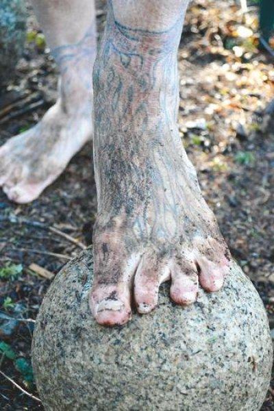 Mick Dodge 25 yıldır ağaç kovuğunda yaşıyor 