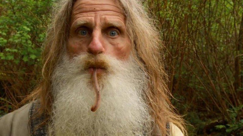Mick Dodge 25 yıldır ağaç kovuğunda yaşıyor 