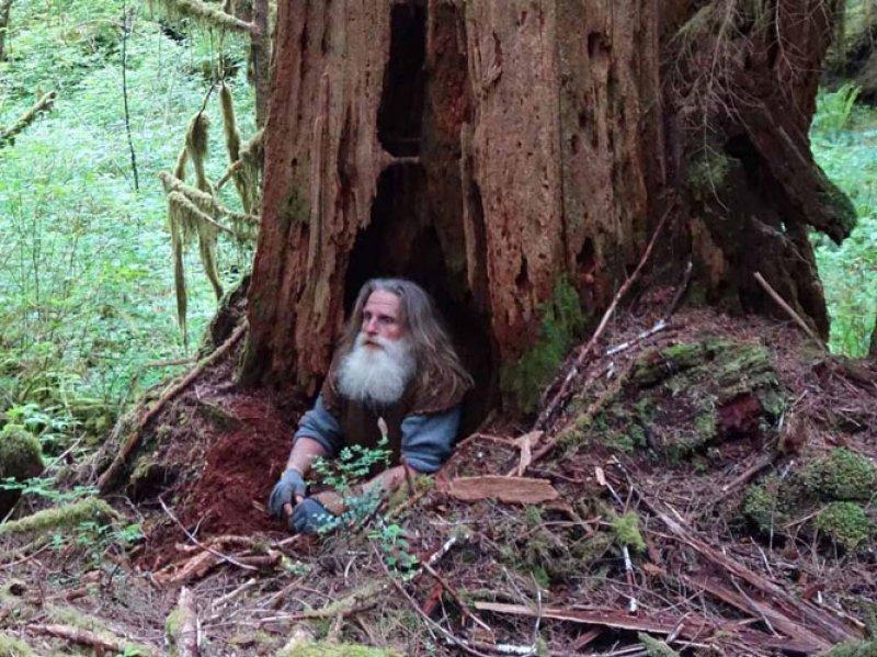 Mick Dodge 25 yıldır ağaç kovuğunda yaşıyor 