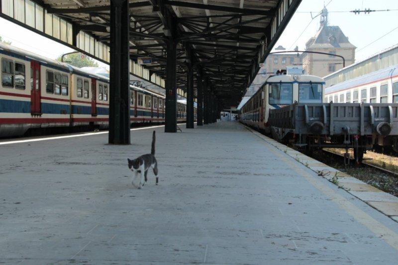 Tarihi Haydarpaşa Garı tren mezarlığına döndü 