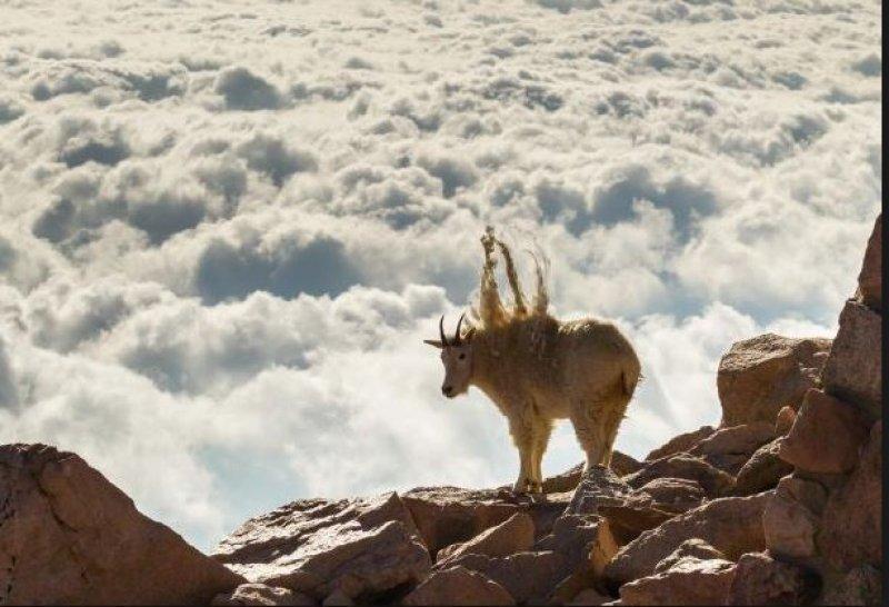 Amatör fotoğrafçıların objektifinden müthiş fotoğraflar