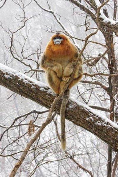 Amatör fotoğrafçıların objektifinden müthiş fotoğraflar