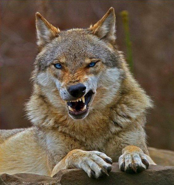 Amatör fotoğrafçıların objektifinden müthiş fotoğraflar