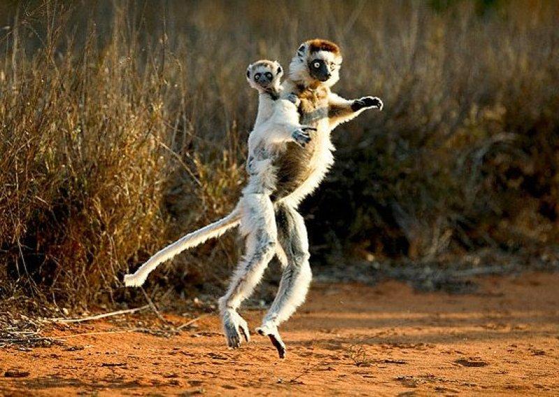 Amatör fotoğrafçıların objektifinden müthiş fotoğraflar