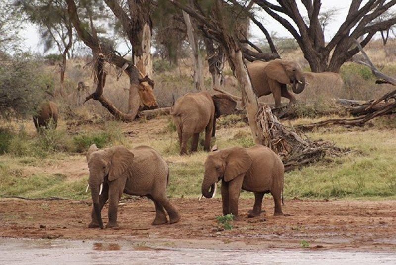 Amatör fotoğrafçıların objektifinden müthiş fotoğraflar
