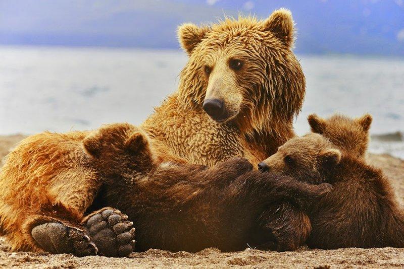 Amatör fotoğrafçıların objektifinden müthiş fotoğraflar