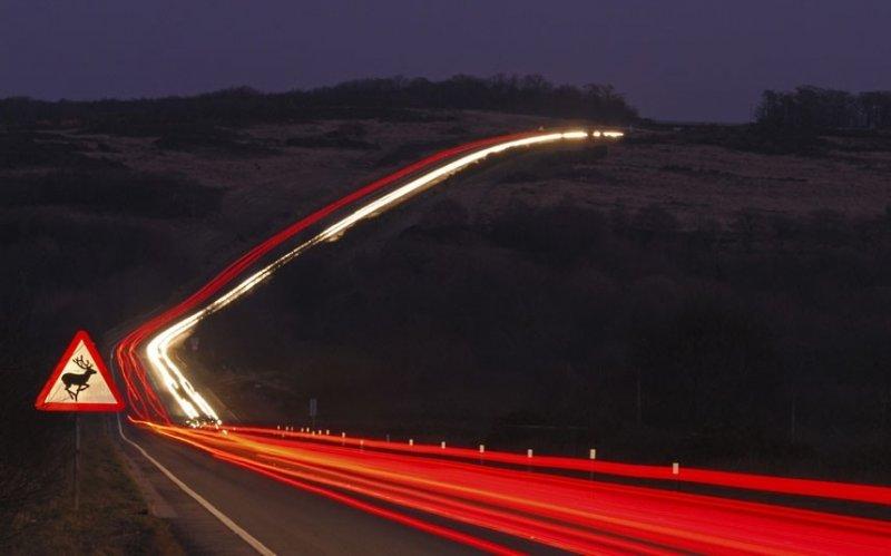 Amatör fotoğrafçıların objektifinden müthiş fotoğraflar