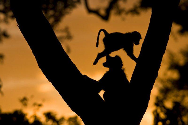 Amatör fotoğrafçıların objektifinden müthiş fotoğraflar