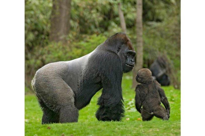 Amatör fotoğrafçıların objektifinden müthiş fotoğraflar