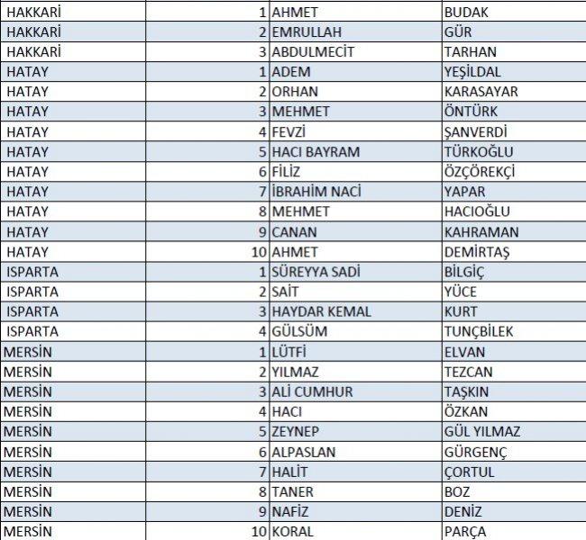 AK Parti'nin 1 Kasım milletvekili aday listesi