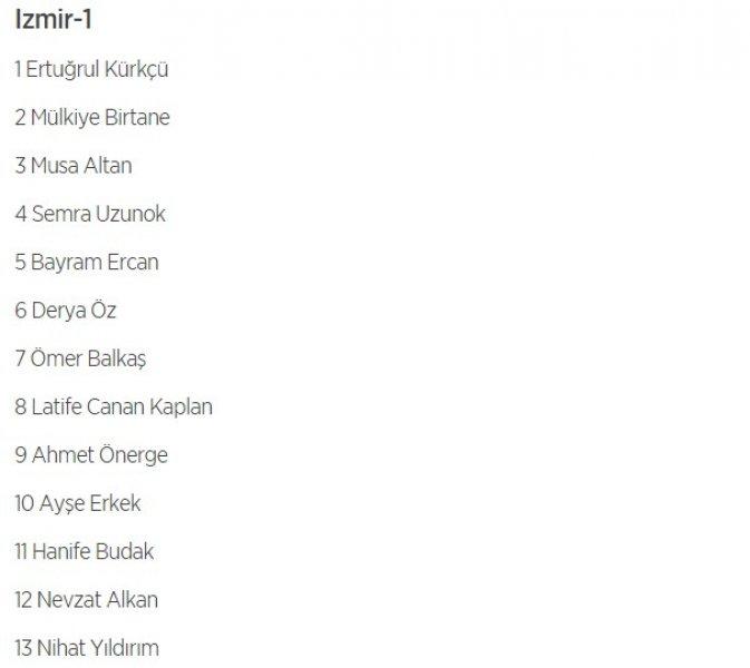 HDP'nin 1 Kasım milletvekili aday listesi