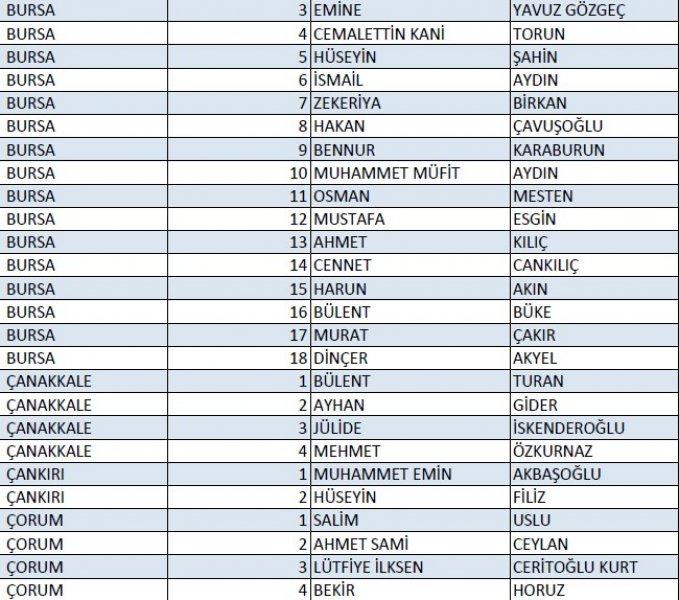 AK Parti'nin 1 Kasım milletvekili aday listesi