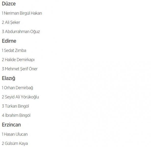 HDP'nin 1 Kasım milletvekili aday listesi