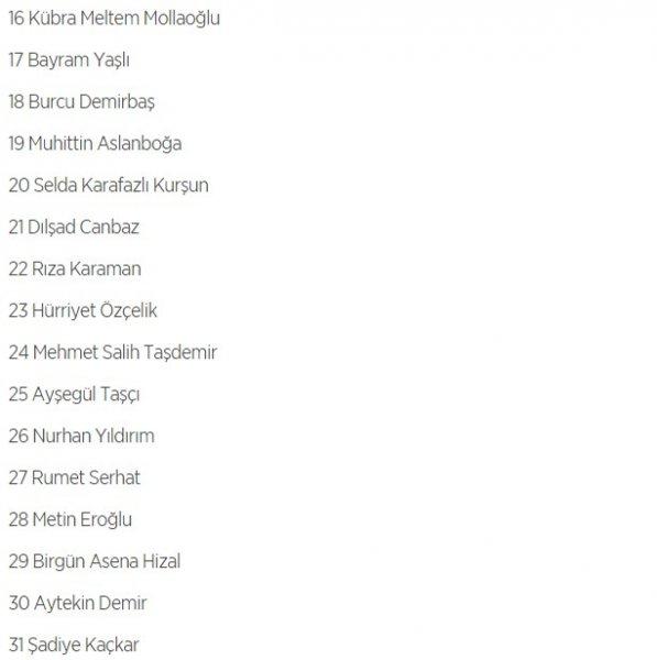 HDP'nin 1 Kasım milletvekili aday listesi