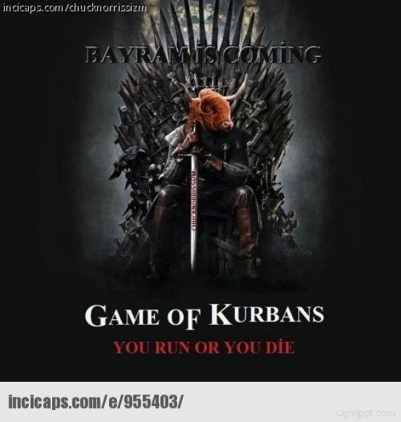 Kurban bayramı capsleri - Foto Galeri