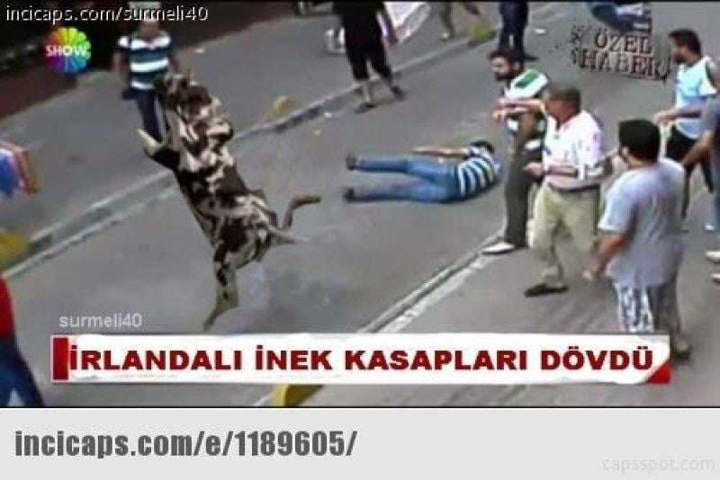 Kurban bayramı capsleri - Foto Galeri