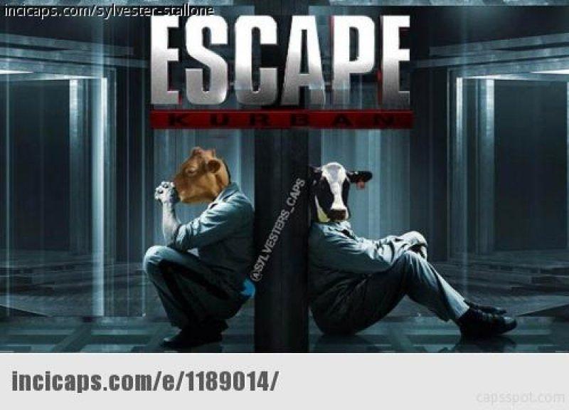 Kurban bayramı capsleri - Foto Galeri