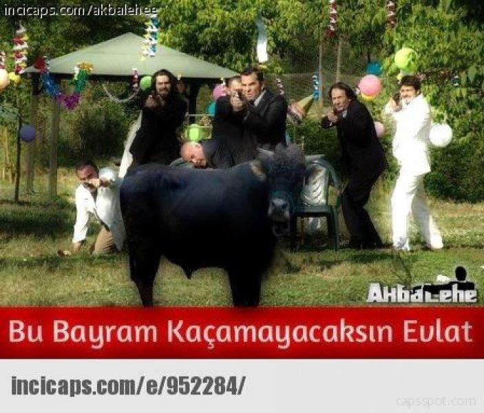 Kurban bayramı capsleri - Foto Galeri