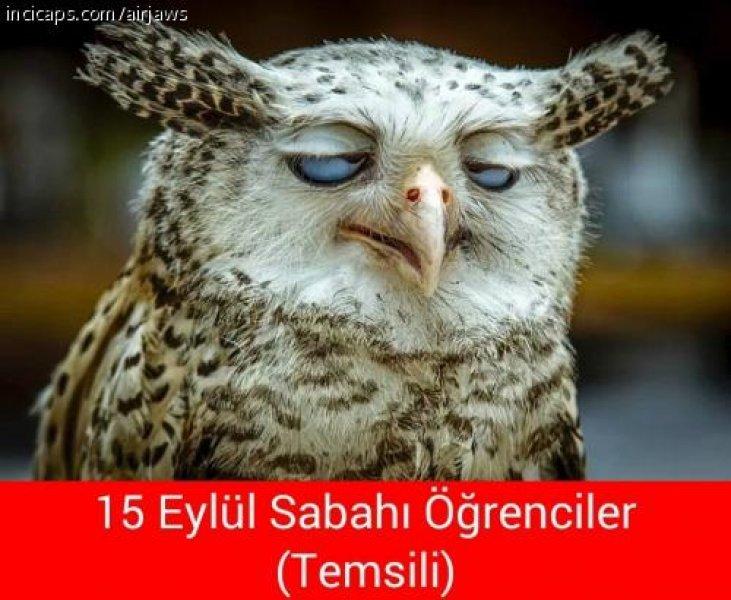 Sosyal medyada paylaşılan eğlenceli okul capsleri