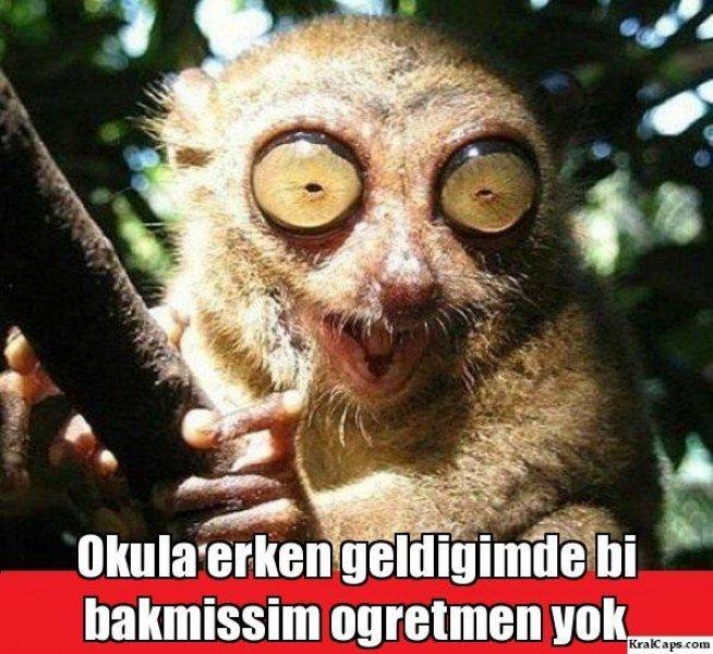 Sosyal medyada paylaşılan eğlenceli okul capsleri