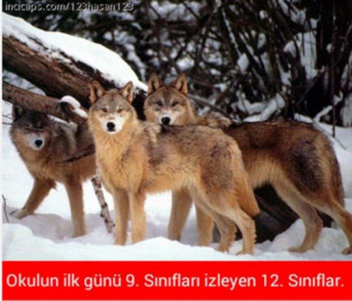 Sosyal medyada paylaşılan eğlenceli okul capsleri