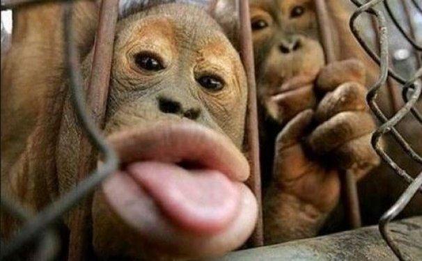 Sosyal medyada paylaşılan eğlenceli okul capsleri