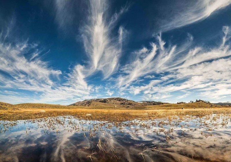 National Geographic fotoğraf yarışmasından dikkat çeken fotoğraflar
