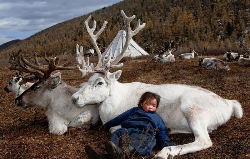 Kuzey Moğolistan'da yaşayan göçebe Türkler: Duhalar