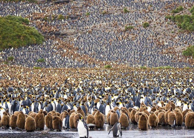 National Geographic fotoğraf yarışmasından dikkat çeken fotoğraflar