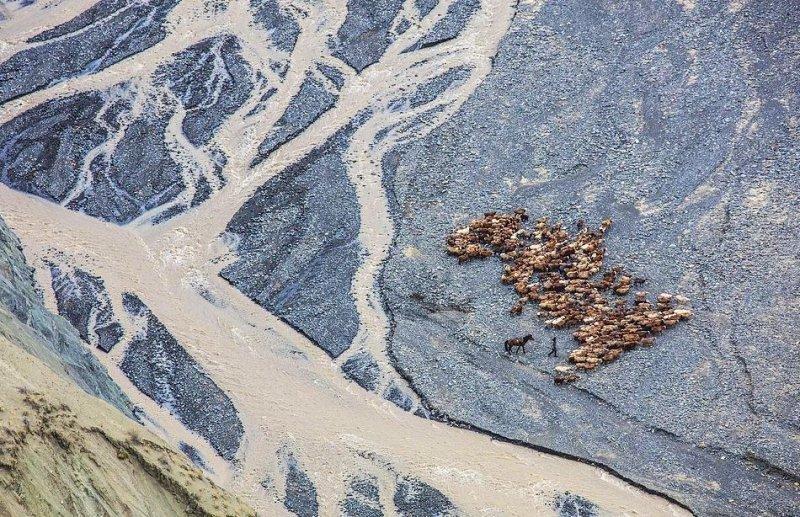 National Geographic fotoğraf yarışmasından dikkat çeken fotoğraflar