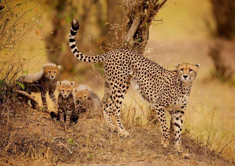 National Geographic fotoğraf yarışmasından dikkat çeken fotoğraflar