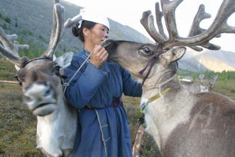 Kuzey Moğolistan'da yaşayan göçebe Türkler: Duhalar