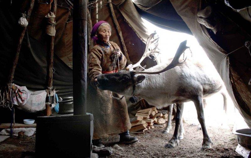 Kuzey Moğolistan'da yaşayan göçebe Türkler: Duhalar