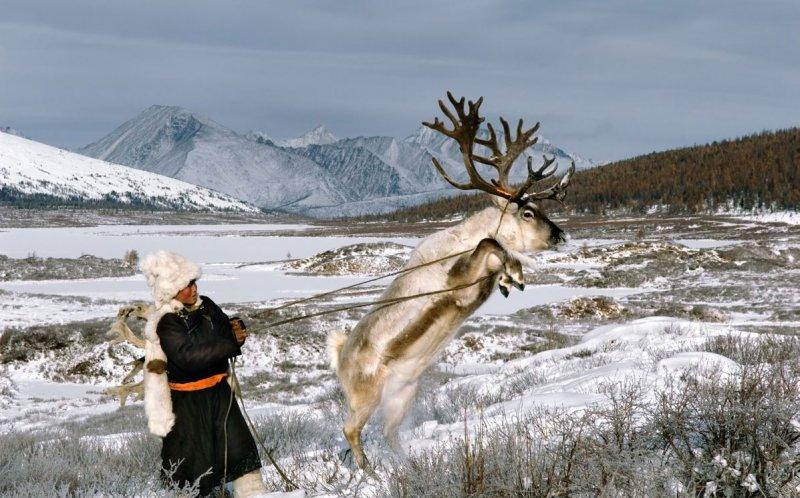 Kuzey Moğolistan'da yaşayan göçebe Türkler: Duhalar