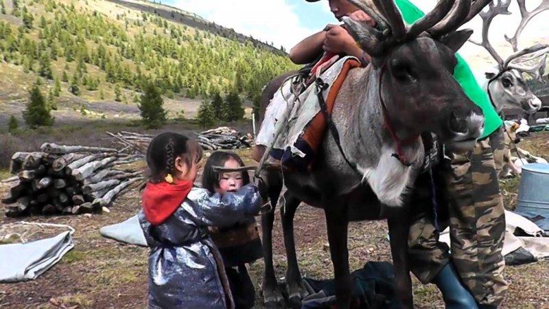 Kuzey Moğolistan'da yaşayan göçebe Türkler: Duhalar