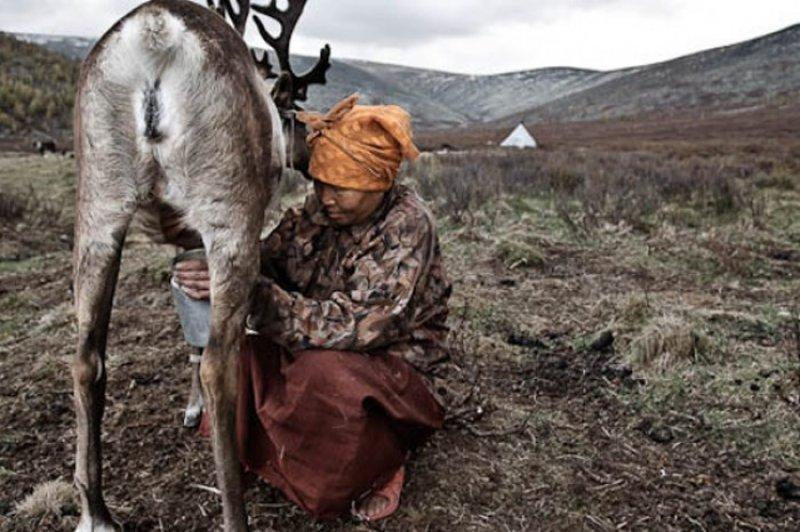 Kuzey Moğolistan'da yaşayan göçebe Türkler: Duhalar